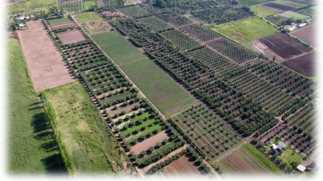 Mendoza: la realidad que nos negamos a ver