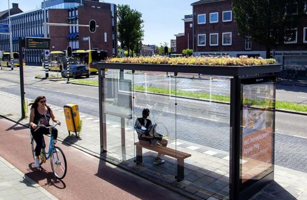 Conocé la ciudad que convirtió las paradas de micros en refugios para abejas