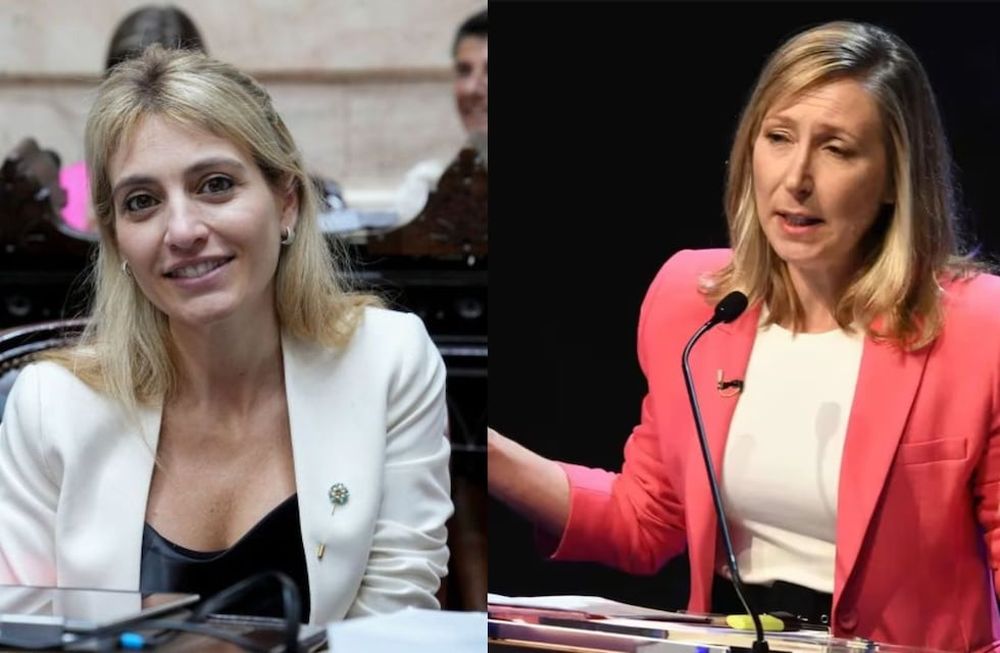 Fernández Molero arremetió contra la diputada del Frente de Izquierda.