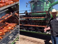 En el Festival de Otoño 2025 en Chihuahua, México, realizaron una interesante forma de cocinar asado y el video se convierte en viral.&nbsp;