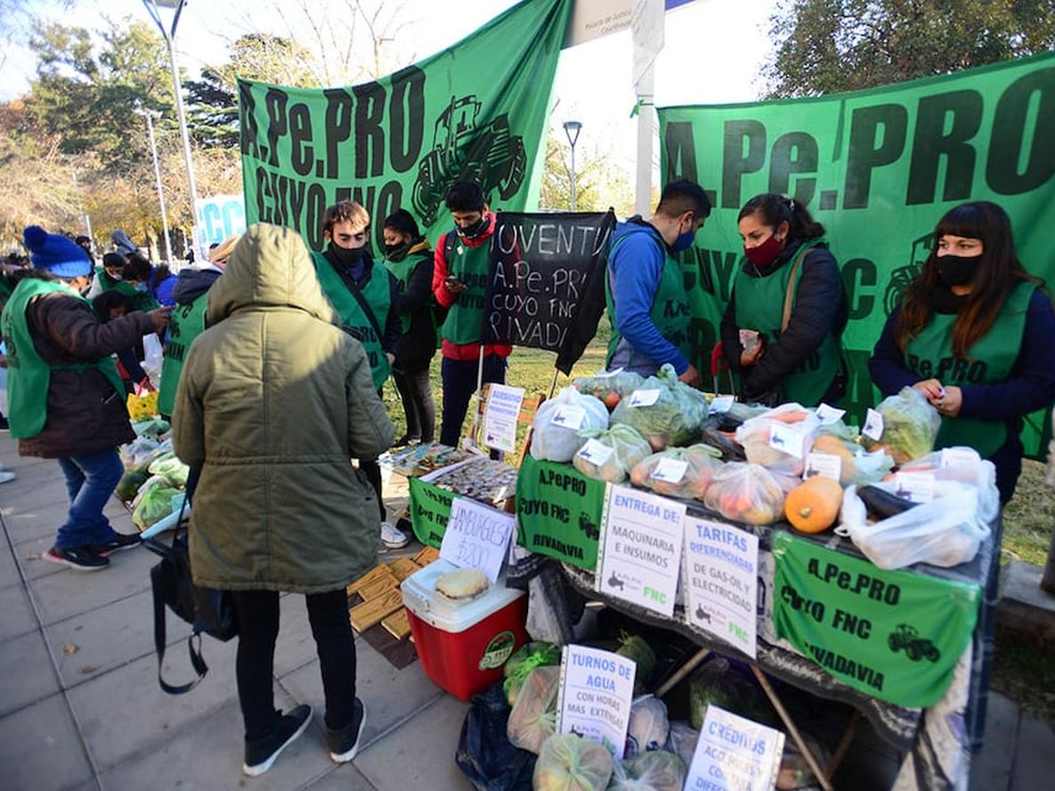 Pequeños productores agrícolas se manifestaron frente a Casa de Gobierno