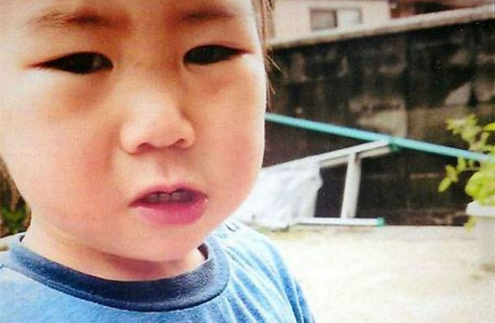 La increíble historia de un nene de dos años que sobrevivió solo tres días en el bosque