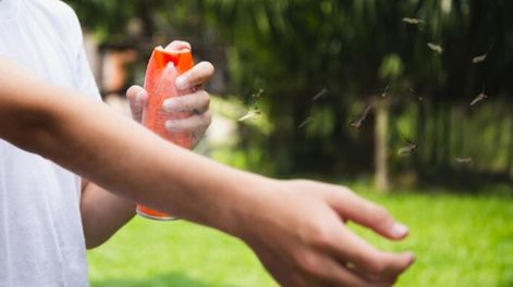 Los turistas arrasaron con un articulo peculiar y sorprendió a los medio periodísticos de Chile. / Imagen ilustrativa