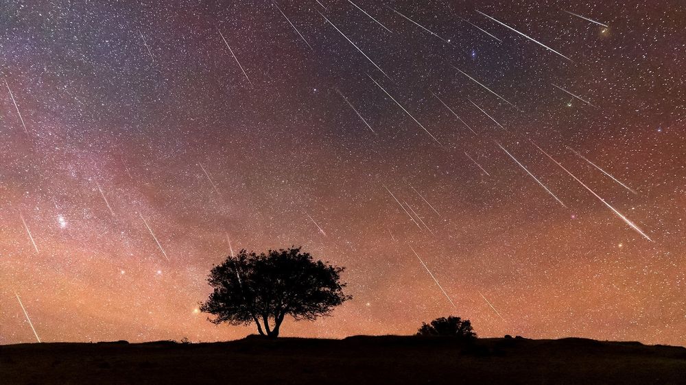 Perseidas de agosto 2025: cuándo y cómo ver la lluvia de meteoros