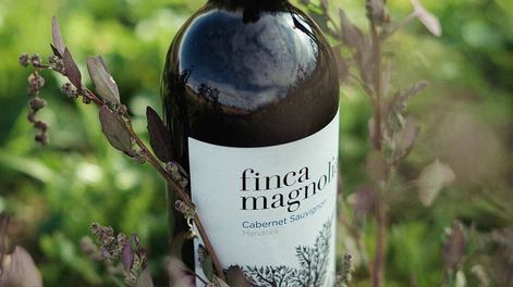 Los vinos de Finca Magnolia, para disfrutar en la Feria de Guarda14