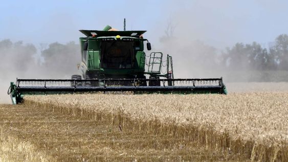 Después de enfrentar la peor cosecha desde 2015/2016, con la menor productividad desde 2009/2008, en Argentina El Niño debe impulsar la recuperación esperada para 2023/2024