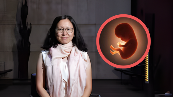 Wang Hongmei logró descifrar como funciona realmente la gastrulación, antes incomprendida por la ciencia.&nbsp;