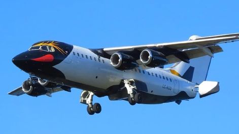 La compañía chilena Aerovías DAP lanzó un vuelo especial Mendoza-Santiago de Chile. Será en un avión BAe 146.