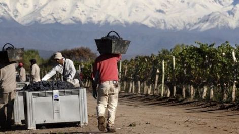 Los Andes | GNTDEYJUGQ2GKZRWMZTDKZJWGM.jpg?quality=75&smart=true&auth=9132cc7b0d65579d548e3b0c77562af27692eba2769f77901491826383d7b84d&width=980&height=640