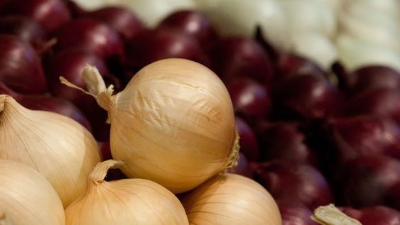 La cebolla fue el producto mendocino que más reuniones de negocios logró en la en la Feria Fruit Logistica, en Berlín. Foto: Web