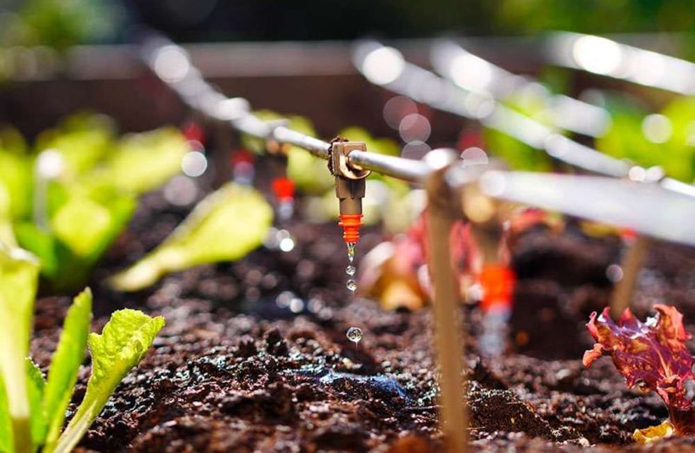Agro: La sustentabilidad en la producción avanza lento, pero hay priorización
