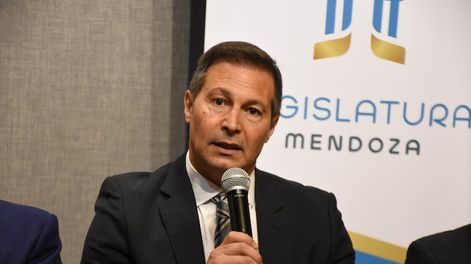 Gustavo Riera Martínez, el vocal del Tribunal de Cuentas contra el que apuntó el senador Magistretti. Foto: Prensa Senado