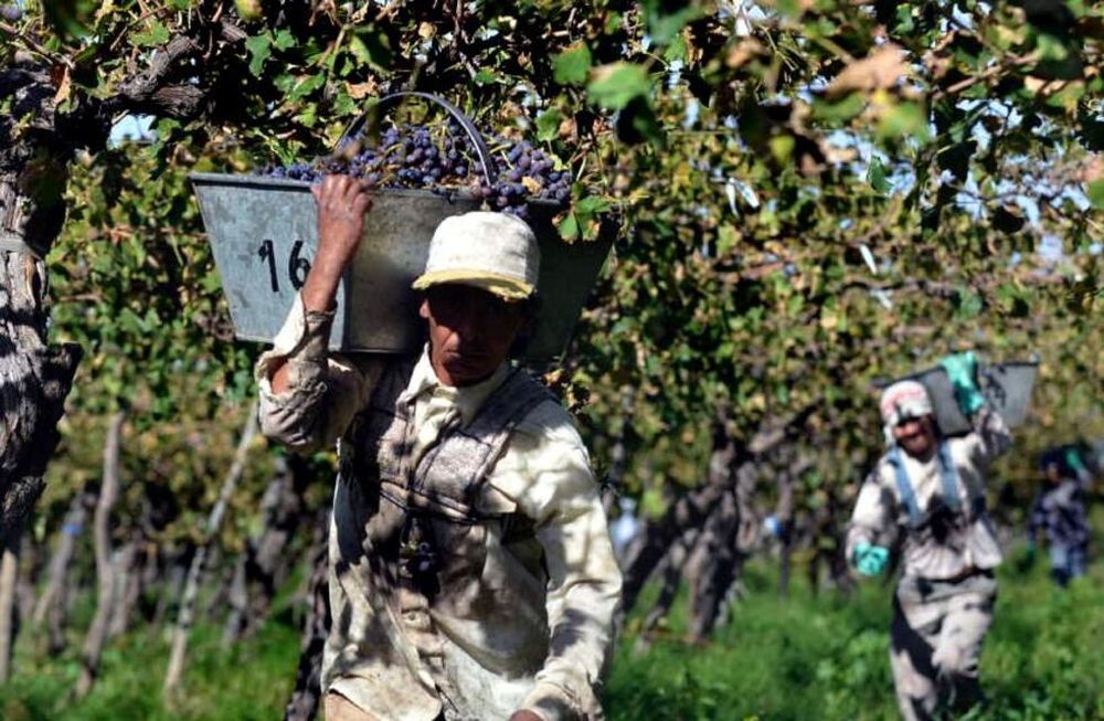 La paritaria vitivinícola cerró con un aumento del 64% hasta febrero