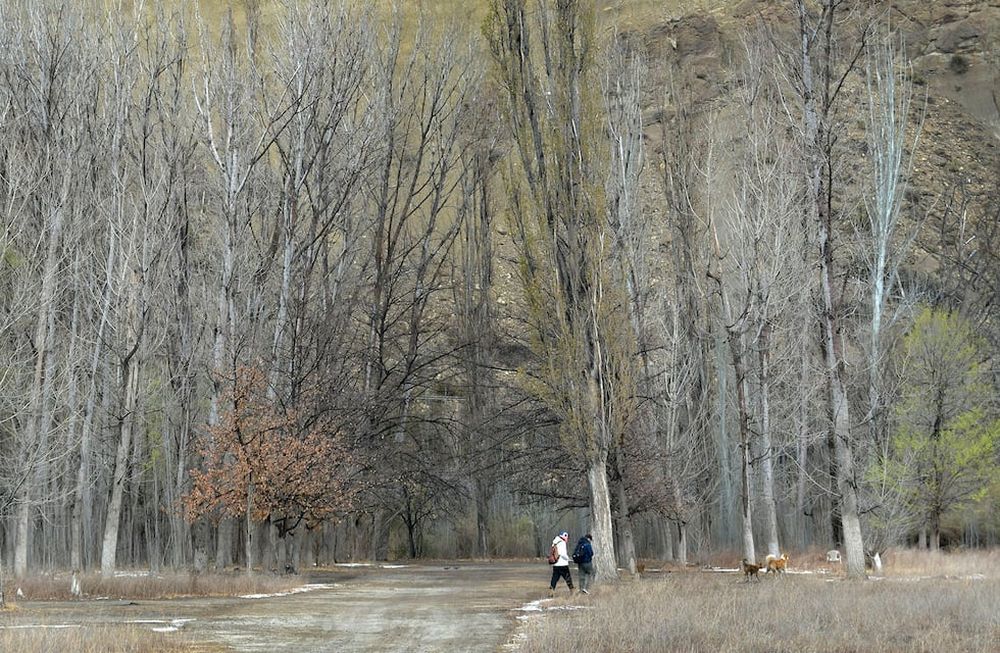 Pronóstico en Mendoza: Inestable hacia la noche y lluvias  en el sur provincial