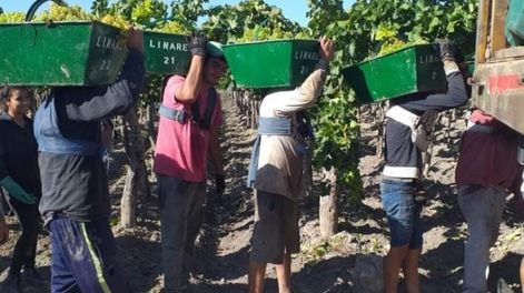 Los Andes | CGSIDPZ2H5BMJLAA2LTALEYOXE.jpeg?quality=75&smart=true&auth=f7591320221a53c4b05f7272f4e6e1b03100e26b6929dc89e340f36585f02f94&width=980&height=640