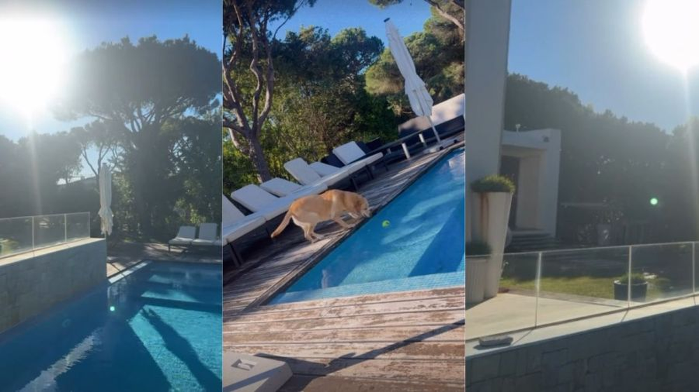 Los suegros del Dibu Martínez viven en una lujoso pueblo de Portugal. Los suegros del Dibu Martínez viven en una lujoso pueblo de Portugal.