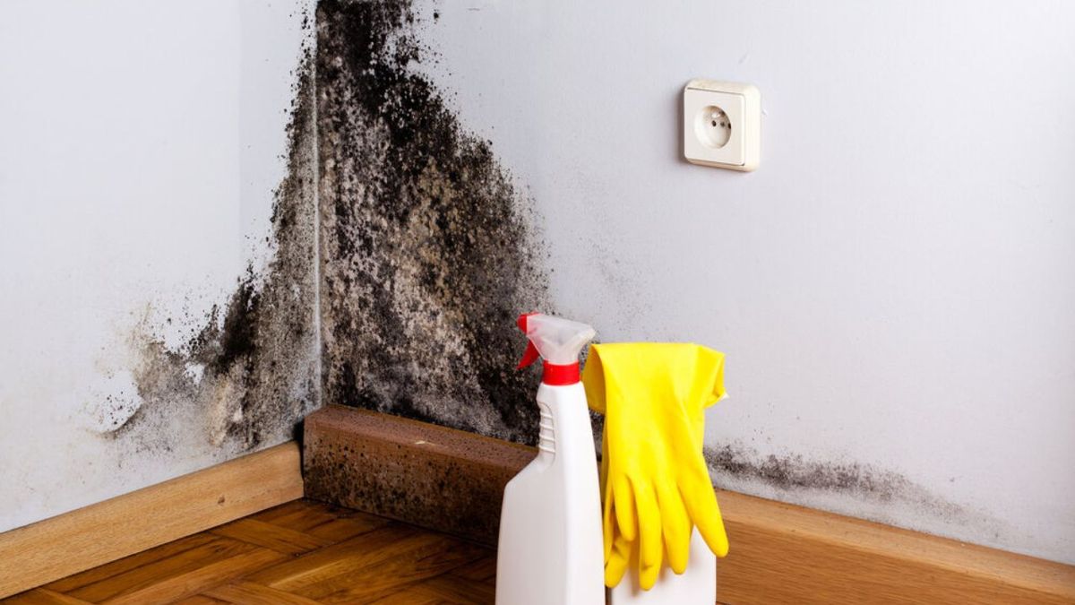 Decile chau a las manchas de humedad en tu casa: el truco de los arquitectos que funciona en menos de 24 horas