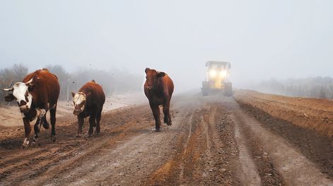 Despliegan un intenso trabajo en los caminos ganaderos