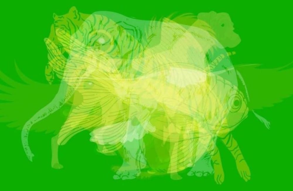 Test de personalidad: ¿Qué animal ves primero en esta imagen?