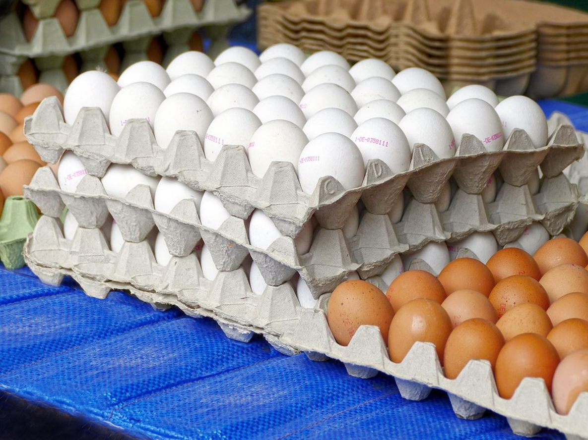 Cómo aprovechar los maples de huevos con 3 trucos de reciclaje muy sencillos