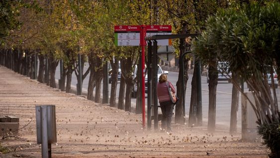 Alerta por efecto Zonda en Mendoza: a qué hora y en qué zonasFoto archivo: Ignacio Blanco / Los Andes