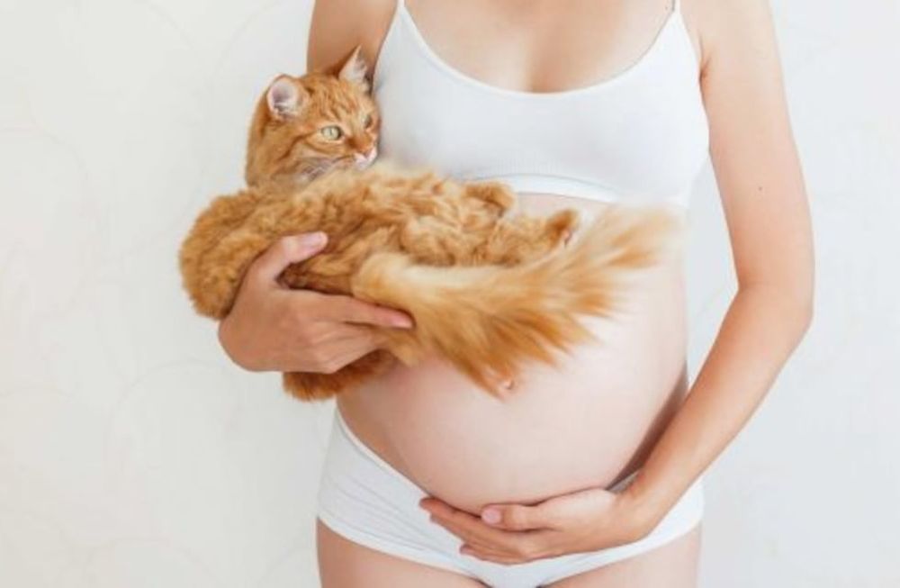 Toxoplasmosis