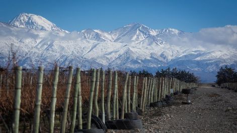 Las inversiones del Mendoza Activa en el agro se acercan a $1.500 millones. Foto: Ignacio Blanco / Los Andes