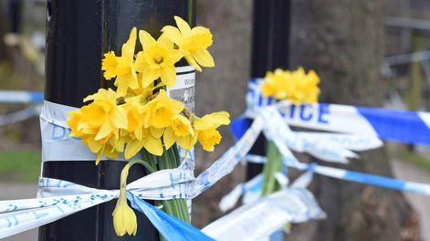 El agente nervioso que intoxicó a los Skripal tenía forma líquida
