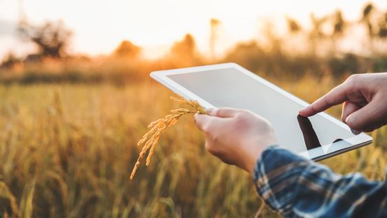 Cómo funciona la startup que apuesta a la inclusión digital rural