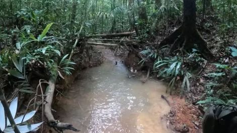 Qué pasó y qué se sabe de los 4 chicos perdidos en la selva de Colombia. Foto: Ejército de Colombia.