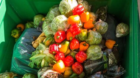 desperdicio de alimentos