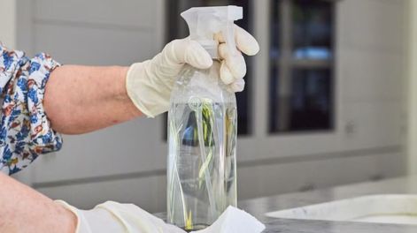 Esta mezcla natural debe entenderse como complemento y no como reemplazo de productos desinfectantes en la limpieza del hogar.