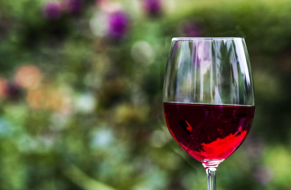 Sintiendo el vino: la degustación, clave para valorar su calidad y conocer mejor su identidad