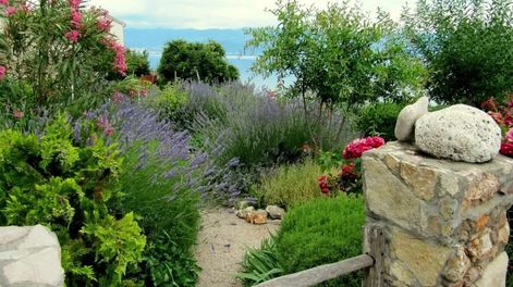 Cómo tener un jardín mediterráneo en tu casa en Argentina y las dos plantas que no pueden faltar