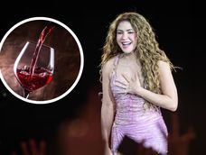 El vino mendocino que elogió Shakira y asoció a una emblemática canción