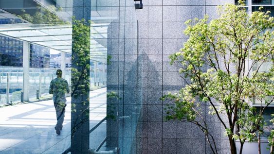 ¿Qué es la economía circular y cómo se aplica en la arquitectura?