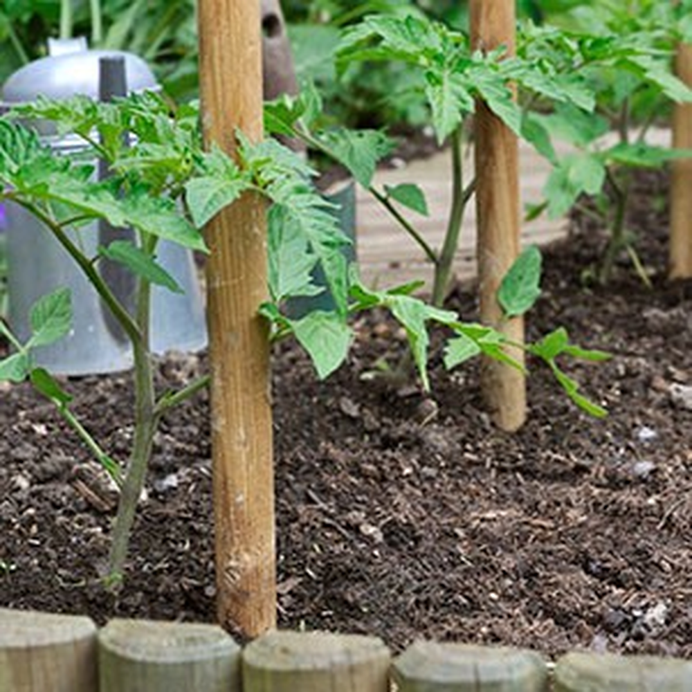 tutor para plantas con palos de escoba