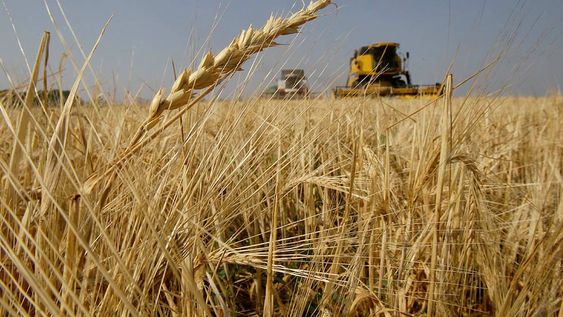 Las restricciones a las importaciones afectan a todas las actividades económicas de Argentina, una de las provincias más afectadas es Mendoza, sin lugar a dudas.