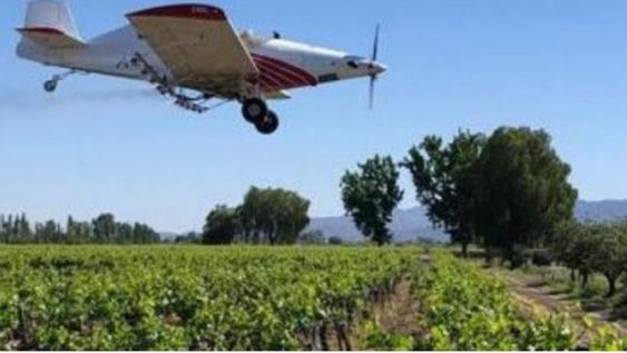 Comienza la última etapa del operativo de control de la polilla de la vid