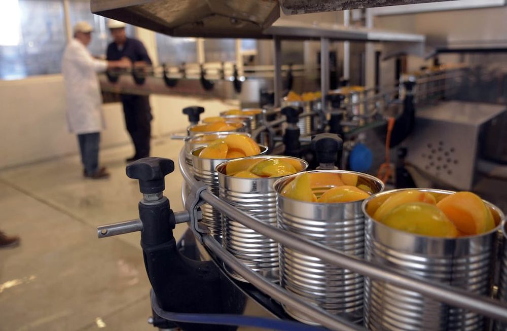 Pronostican un volumen estable para la producción de durazno para industria esta temporada