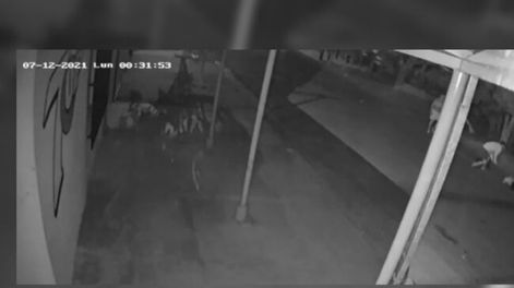Imágenes de una cámara de seguridad