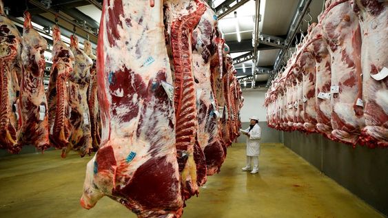 Nuevos desafíos. El sector deberá cambiar la estructura del sistema, lo que le permitirá sostener el consumo interno e incrementar los espacios de comercialización.