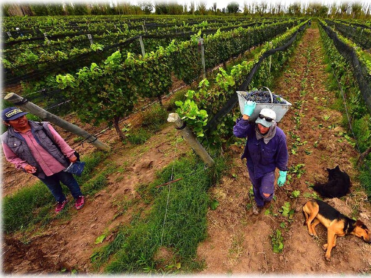Juntos en las malas; en las buenas, separados