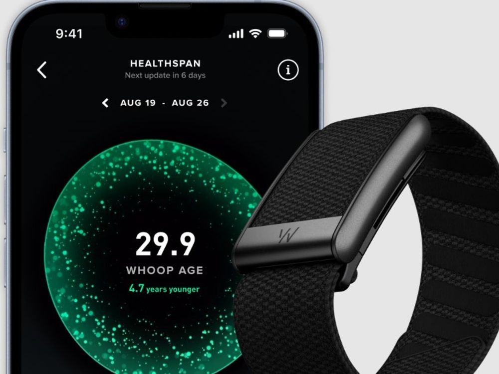 Las pulseras Whoop son populares en Estados Unidos por no tener pantalla y registrar datos de salud como cualquier smartwatch.