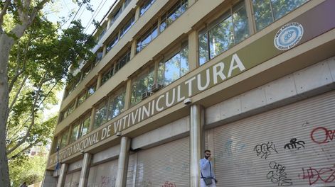 La vitivinicultura dividida.