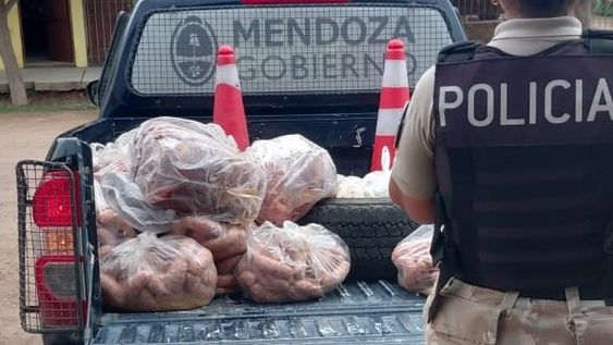Decomisaron más de 200 kilos de carne en un comercio en San Martín
