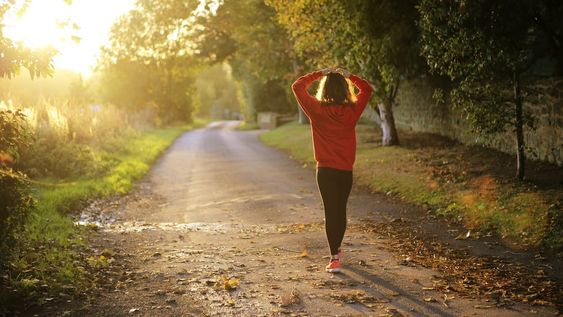 Bienestar docente, alimentación y sedentarismo en el Ciclo de Encuentros Virtuales de MELE