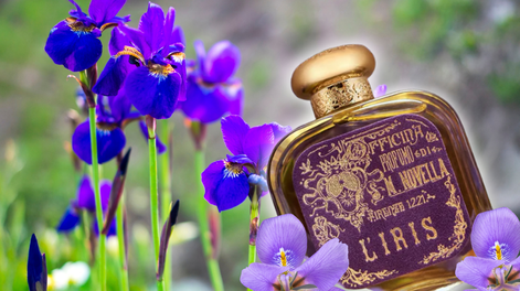 Descubrí el perfume de moda de esta temporada gracias a su inigualable olor a limpio.