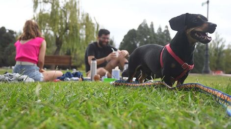 El sábado se espera un día muy agradable en Mendoza. -  Foto:José Gutierrez / Los Andes