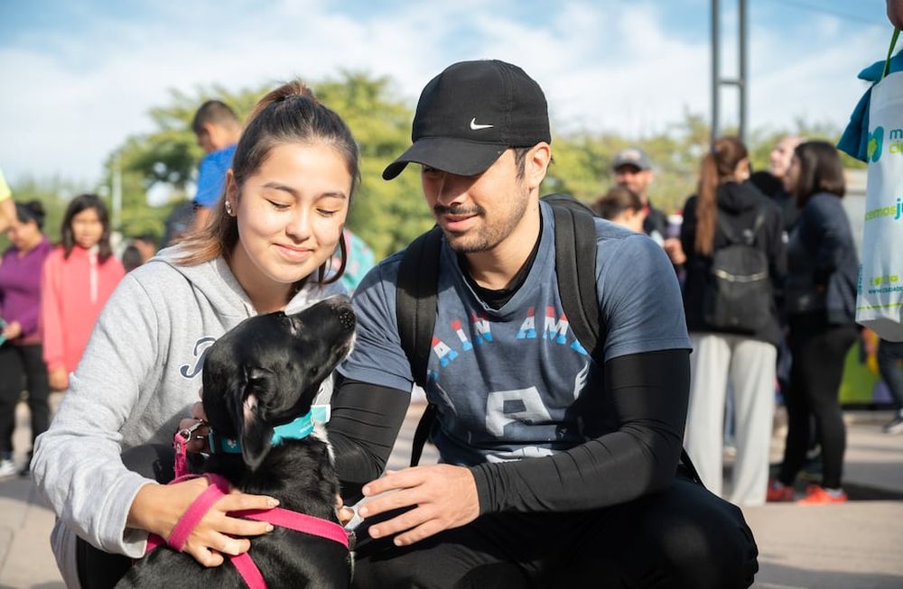 Este será el punto de ubicación del Móvil Veterinario durante el mes de noviembre